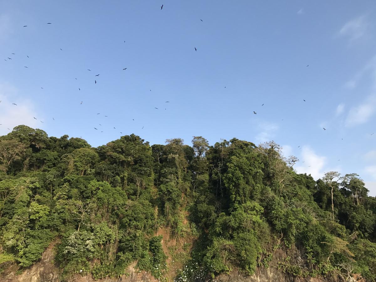Mapara Crab Lodge 巴亚索拉诺 外观 照片