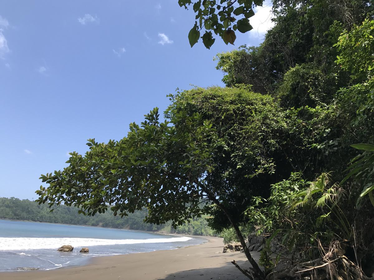 Mapara Crab Lodge 巴亚索拉诺 外观 照片
