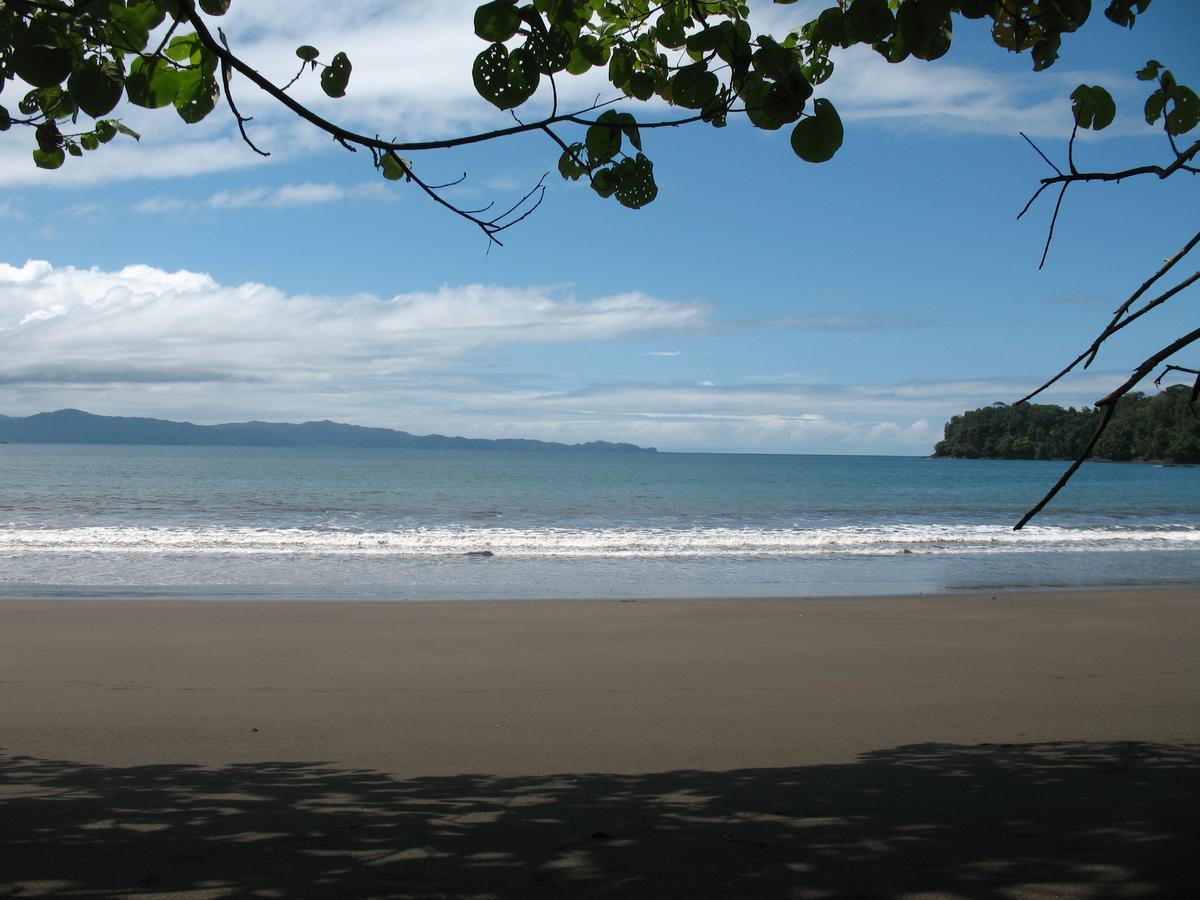 Mapara Crab Lodge 巴亚索拉诺 外观 照片