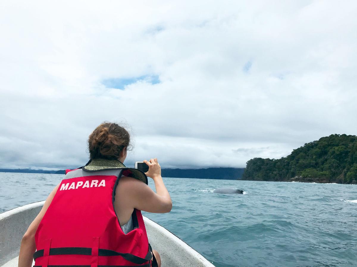 Mapara Crab Lodge 巴亚索拉诺 外观 照片